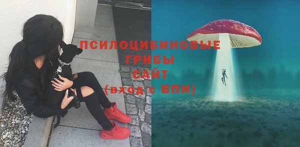 таблы Армянск