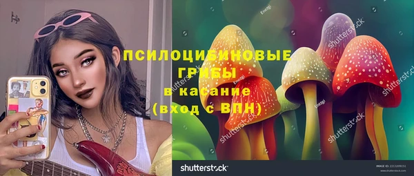 СК Арсеньев